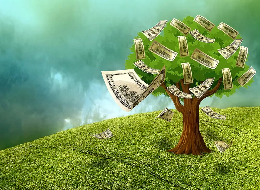 Tree Shedding Money