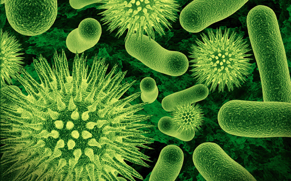 Cold & Flu Bacteria & Germs