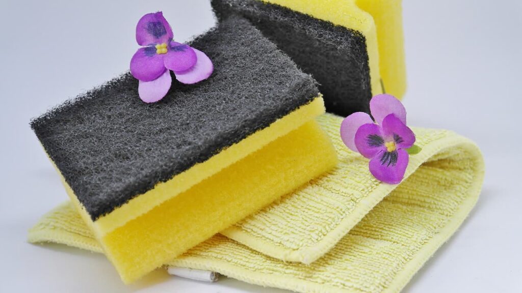 Sponge and Dish Towel