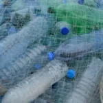 Plastic Bottles in a Net