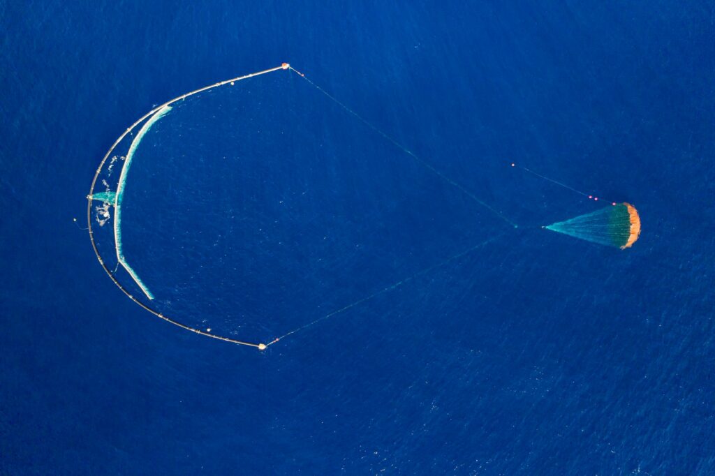 The Ocean Cleanup