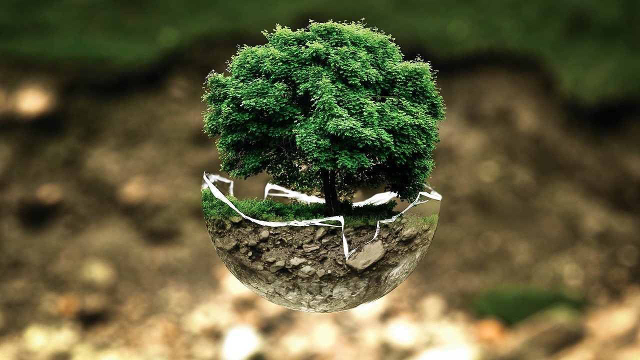 A green tree sitting in a broken glass globe